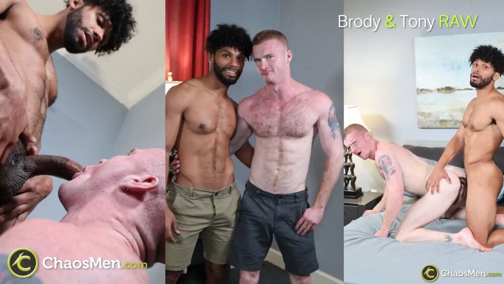 CM BrodyFox TonyGenius Raw