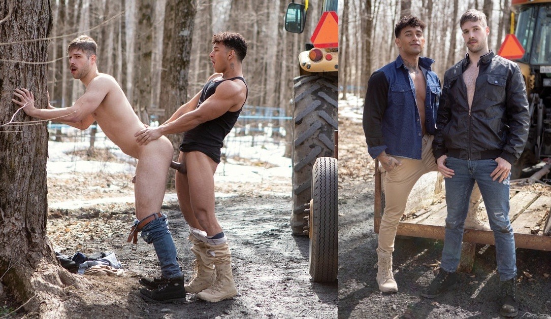 FS SugarShack KenzoAlvarez UptonSterling