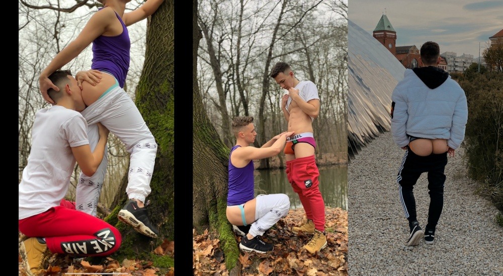 Patrick Nicky MamandoFloresta