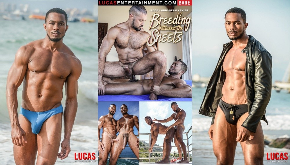 LE BreedingBetweentheSheets SeanXavier JacobLord