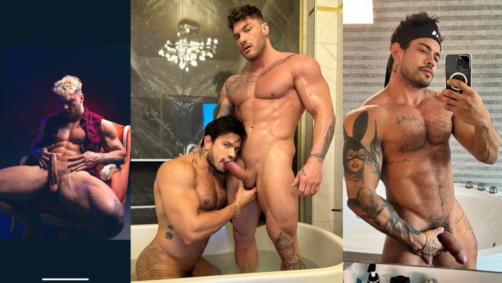 WilliamSeed AlejoOspina