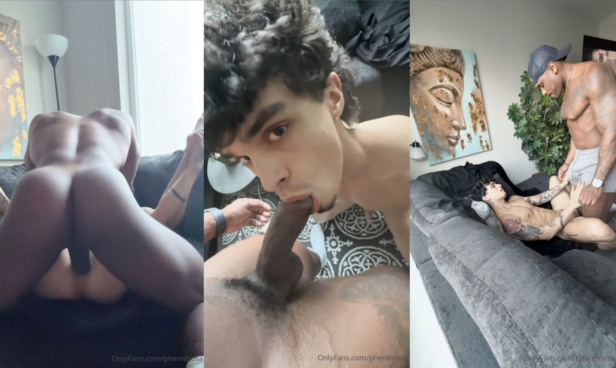 Pheremosa fucked bareback by Gemtattedfreak BBC 2048x1225 1